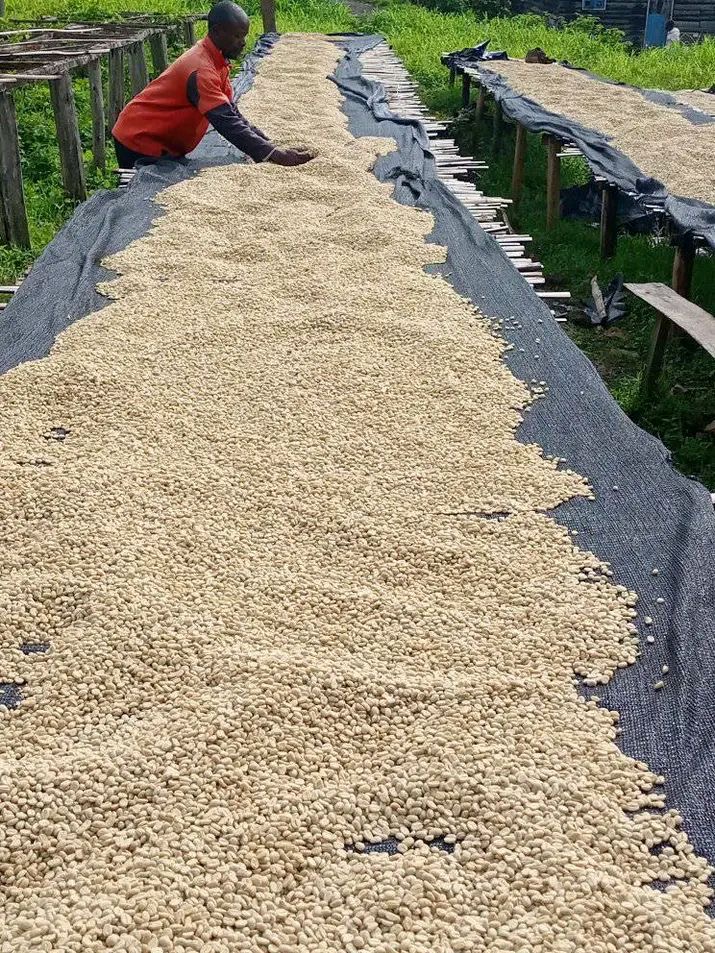 Exceptional Coffee Starts Here
