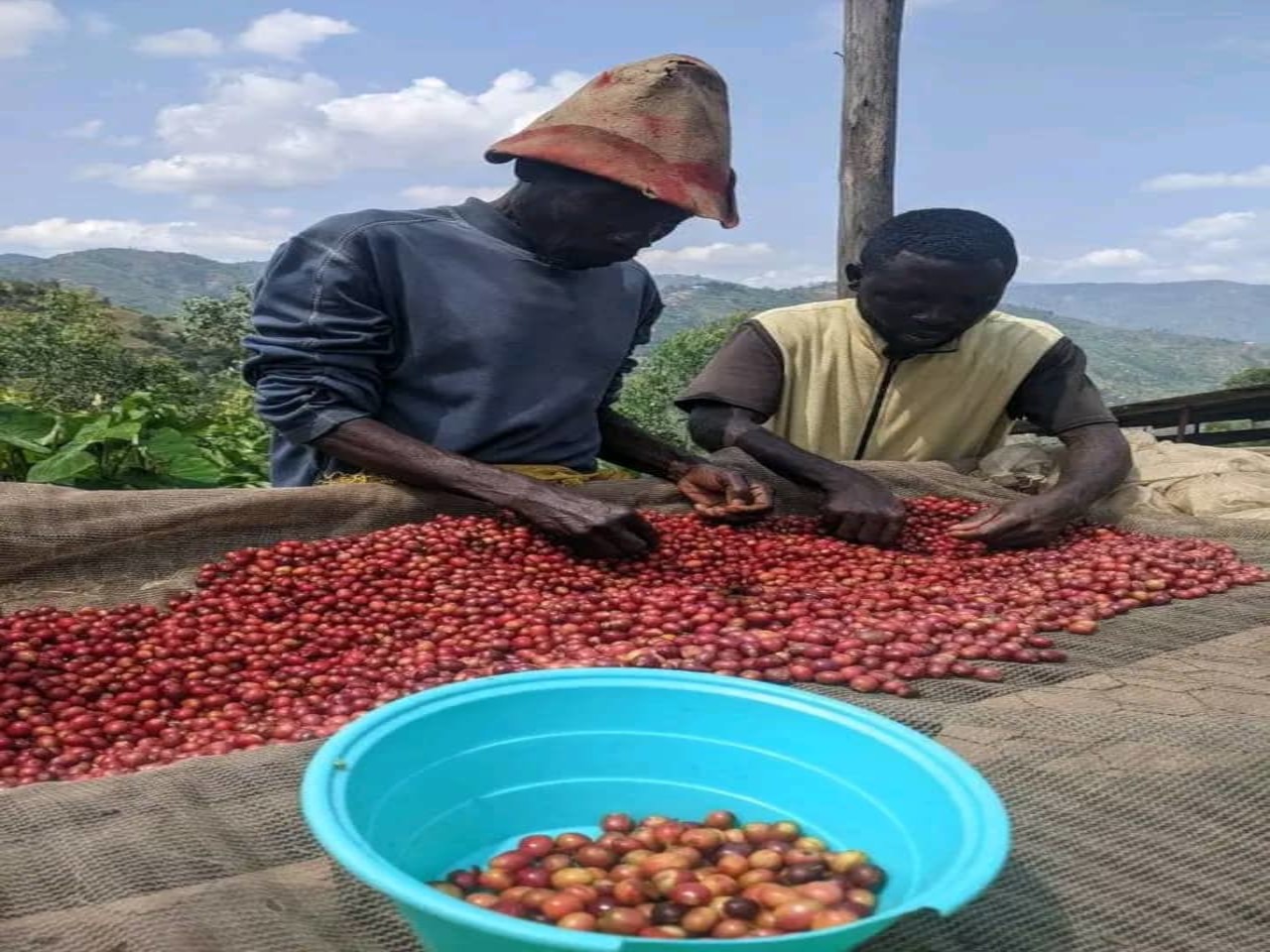 Exceptional Coffee Starts Here