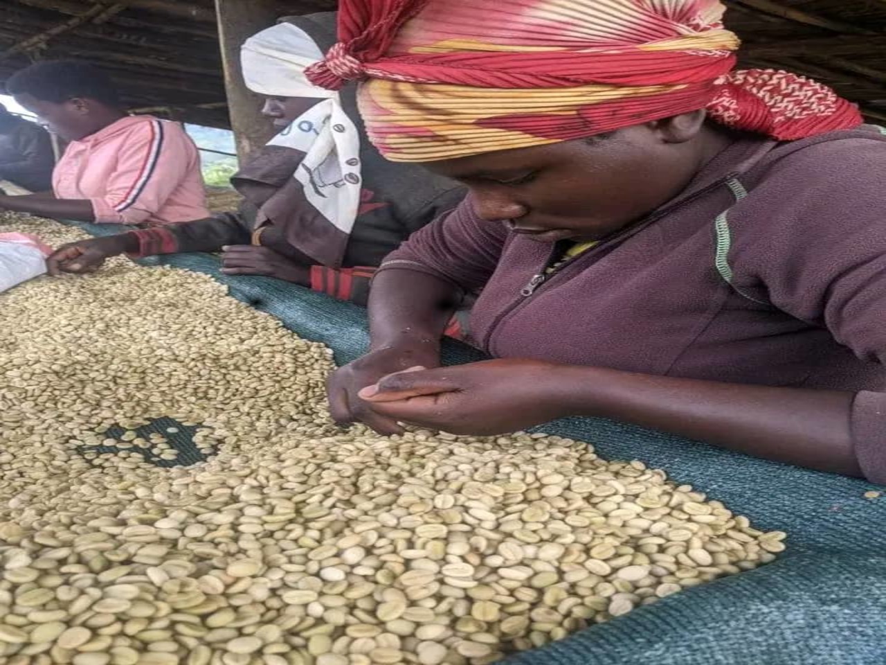 Exceptional Coffee Starts Here