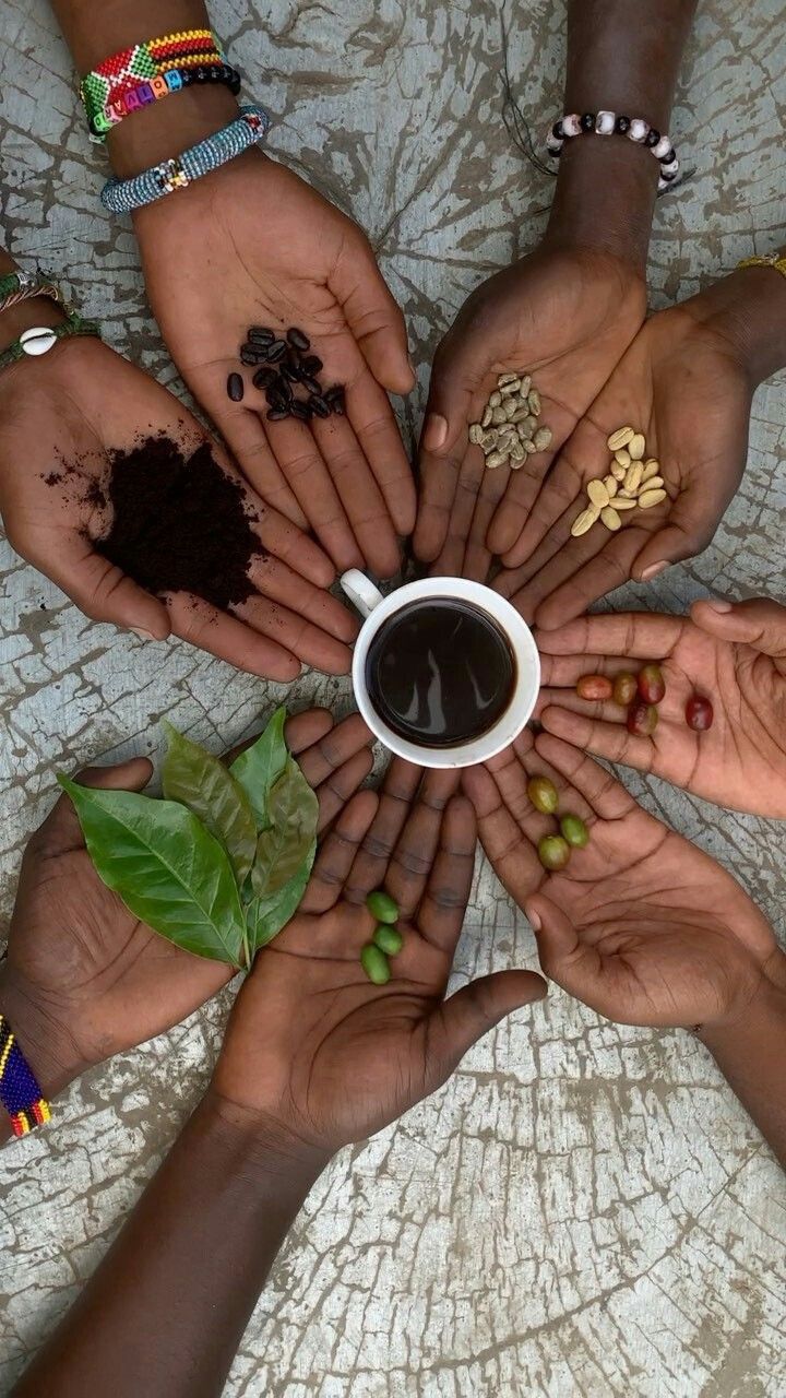 Exceptional Coffee Starts Here